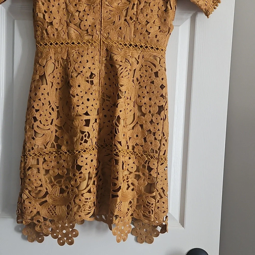 Adelyn Rae Lace V-neck Short Sleeve Sheath Mini Dress: Color- Mustard - Picture 9 of 11
